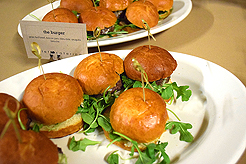 CAMP EVAN BAR MITZVAH